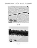 SURFACTANTLESS BIMETALLIC NANOSTRUCTURES AND METHOD FOR SYNTHESIZING SAME diagram and image