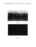 SURFACTANTLESS BIMETALLIC NANOSTRUCTURES AND METHOD FOR SYNTHESIZING SAME diagram and image