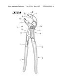 PLIERS diagram and image