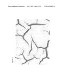 CURABLE COMPOSITIONS CONTAINING ISOCYANATE FUNCTIONAL COMPONENTS HAVING     IMPROVED DURABILITY diagram and image