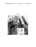 NANOROD AND METHOD OF MANUFACTURING THE SAME diagram and image