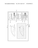 CARBON FIBER SHELLS FOR CUSTOMIZING THE APPEARANCE OF A VEHICLE diagram and image