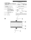 TEMPERATURE COMPENSATING ELECTRODES diagram and image