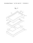 DISPLAY DEVICE diagram and image