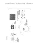 SENSOR-SYNCHRONIZED SPECTRALLY-STRUCTURED-LIGHT IMAGING diagram and image