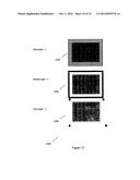 SCANNING METHOD AND APPARATUS diagram and image