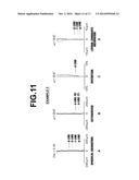 IMAGING LENS AND IMAGING APPARATUS INCLUDING THE IMAGING LENS diagram and image