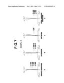 IMAGING LENS AND IMAGING APPARATUS INCLUDING THE IMAGING LENS diagram and image