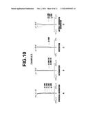 IMAGING LENS AND IMAGING APPARATUS INCLUDING THE IMAGING LENS diagram and image