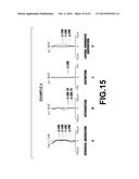 IMAGING LENS AND IMAGING APPARATUS INCLUDING THE IMAGING LENS diagram and image