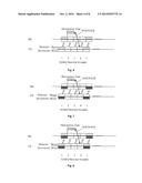 METHODS FOR PERFORMING AND CONTROLLING RETRANSMISSION AND APPARATUS     THEREOF diagram and image