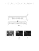 GRAY IMAGE PROCESSING METHOD AND APPARATUS diagram and image