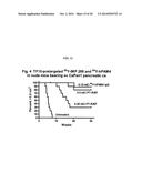 Anti-Pancreatic Cancer Antibodies diagram and image