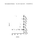 Anti-Pancreatic Cancer Antibodies diagram and image