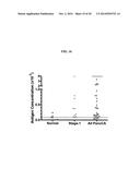 Anti-Pancreatic Cancer Antibodies diagram and image