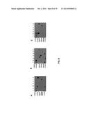 FUNCTION AND REGULATION OF ADAMTS-1 diagram and image