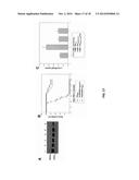 FUNCTION AND REGULATION OF ADAMTS-1 diagram and image