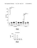 EARLY CHILDHOOD MEMBRANOUS NEPHROPATHY DUE TO CATIONIC BOVINE SERUM     ALBUMIN diagram and image