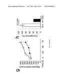 MEANS AND METHODS FOR TREATING AND/OR PREVENTING NATURAL AHR     LIGAND-DEPENDENT CANCER diagram and image