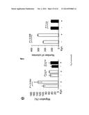 MEANS AND METHODS FOR TREATING AND/OR PREVENTING NATURAL AHR     LIGAND-DEPENDENT CANCER diagram and image