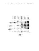 SERUM ALBUMIN BINDING PEPTIDES FOR TUMOR TARGETING diagram and image