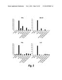 SITE-SPECIFIC ANTIBODY-DRUG CONJUGATION THROUGH GLYCOENGINEERING diagram and image