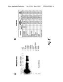 SITE-SPECIFIC ANTIBODY-DRUG CONJUGATION THROUGH GLYCOENGINEERING diagram and image