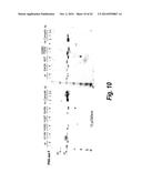 SITE-SPECIFIC ANTIBODY-DRUG CONJUGATION THROUGH GLYCOENGINEERING diagram and image