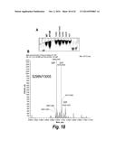 SITE-SPECIFIC ANTIBODY-DRUG CONJUGATION THROUGH GLYCOENGINEERING diagram and image