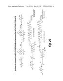 SITE-SPECIFIC ANTIBODY-DRUG CONJUGATION THROUGH GLYCOENGINEERING diagram and image