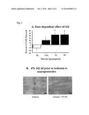 APOAEQUORIN FOR REDUCING NEURONAL INJURY DUE TO ISCHEMIA diagram and image