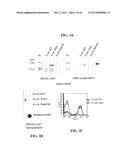 MENINGOCOCCUS ADHESINS NADA, APP AND ORF 40 diagram and image