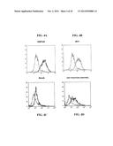 MENINGOCOCCUS ADHESINS NADA, APP AND ORF 40 diagram and image