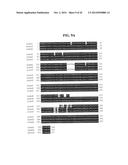 MENINGOCOCCUS ADHESINS NADA, APP AND ORF 40 diagram and image