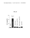 MENINGOCOCCUS ADHESINS NADA, APP AND ORF 40 diagram and image