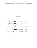 MENINGOCOCCUS ADHESINS NADA, APP AND ORF 40 diagram and image