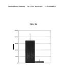 MENINGOCOCCUS ADHESINS NADA, APP AND ORF 40 diagram and image