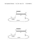 HETEROLOGOUS EXPRESSION OF NEISSERIAL PROTEINS diagram and image