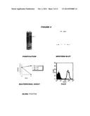 HETEROLOGOUS EXPRESSION OF NEISSERIAL PROTEINS diagram and image