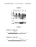 HETEROLOGOUS EXPRESSION OF NEISSERIAL PROTEINS diagram and image