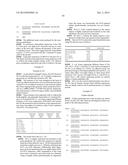 HETEROLOGOUS EXPRESSION OF NEISSERIAL PROTEINS diagram and image