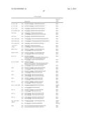 HETEROLOGOUS EXPRESSION OF NEISSERIAL PROTEINS diagram and image