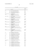 HETEROLOGOUS EXPRESSION OF NEISSERIAL PROTEINS diagram and image