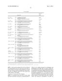 HETEROLOGOUS EXPRESSION OF NEISSERIAL PROTEINS diagram and image