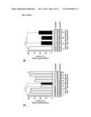 NICLOSAMIDE FOR THE TREATMENT OF CANCER METASTASIS diagram and image