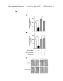 NICLOSAMIDE FOR THE TREATMENT OF CANCER METASTASIS diagram and image