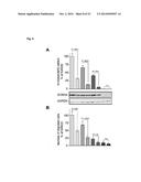 NICLOSAMIDE FOR THE TREATMENT OF CANCER METASTASIS diagram and image