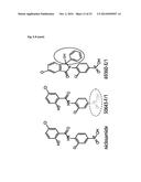 NICLOSAMIDE FOR THE TREATMENT OF CANCER METASTASIS diagram and image