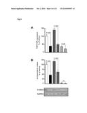 NICLOSAMIDE FOR THE TREATMENT OF CANCER METASTASIS diagram and image