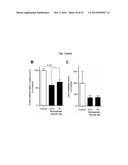 NICLOSAMIDE FOR THE TREATMENT OF CANCER METASTASIS diagram and image